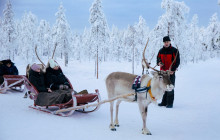 Arctic GM Experiences OY13