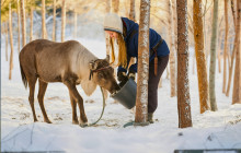 Arctic GM Experiences OY14