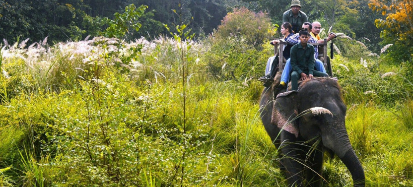 3 Day Chitwan National Park Jungle Safari