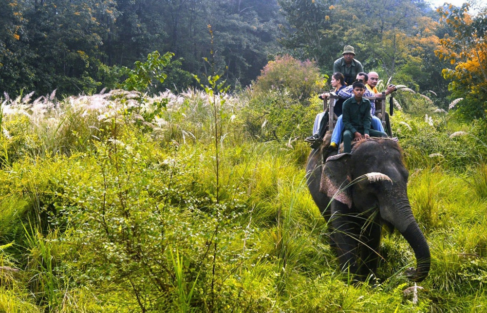 3 Day Chitwan National Park Jungle Safari