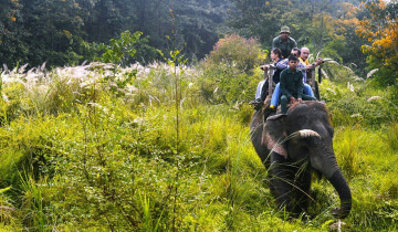 A picture of 3 Day Chitwan National Park Jungle Safari