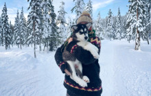 Arctic GM Experiences OY9