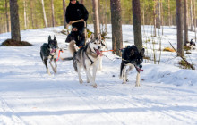 Arctic GM Experiences OY14