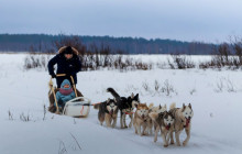Arctic GM Experiences OY18