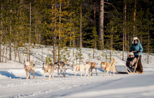 Arctic GM Experiences OY20
