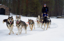 Arctic GM Experiences OY23