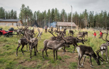 Arctic GM Experiences OY3