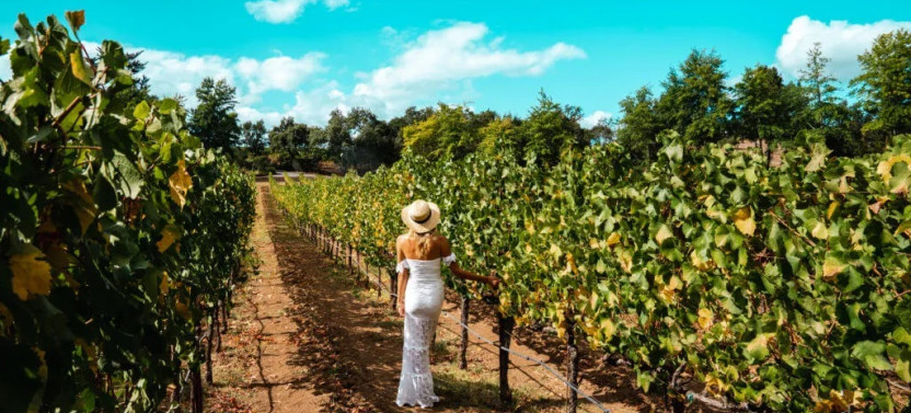 The Ultimate Wine Country Experience