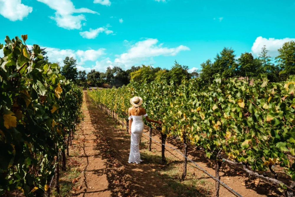 The Ultimate Wine Country Experience