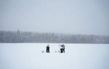 Arctic GM Experiences OY11