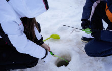 Arctic GM Experiences OY14