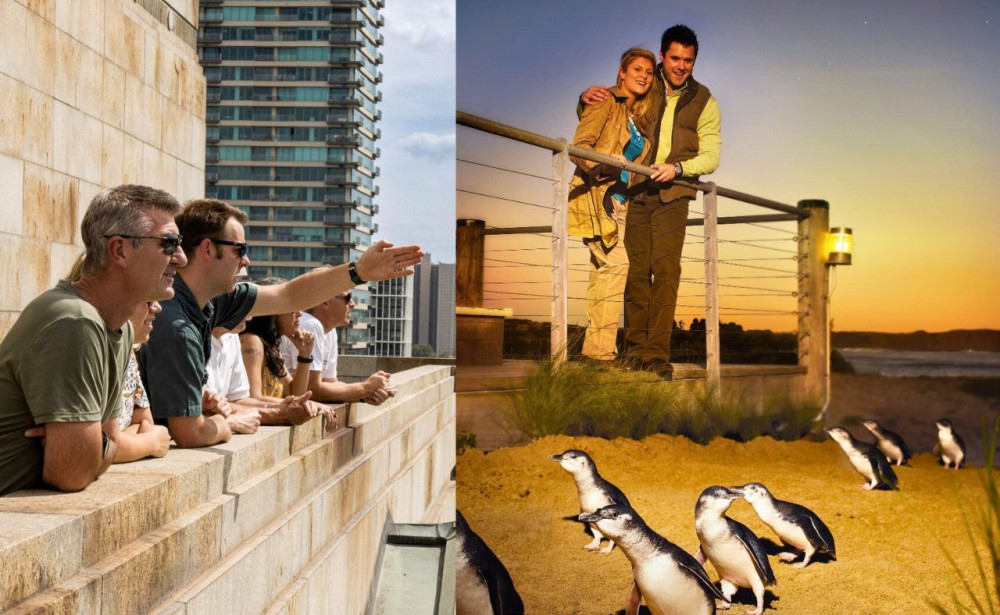 Melbourne Magic: City Discovery + Penguin Parade With Penguin Plus Upgrade