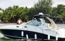 Sunny Adventure’s Travel7