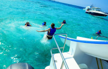 Sunny Adventure’s Travel19