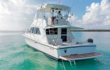 Sunny Adventure’s Travel7