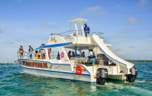 Sunny Adventure’s Travel16