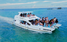 Sunny Adventure’s Travel2