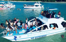 Sunny Adventure’s Travel17
