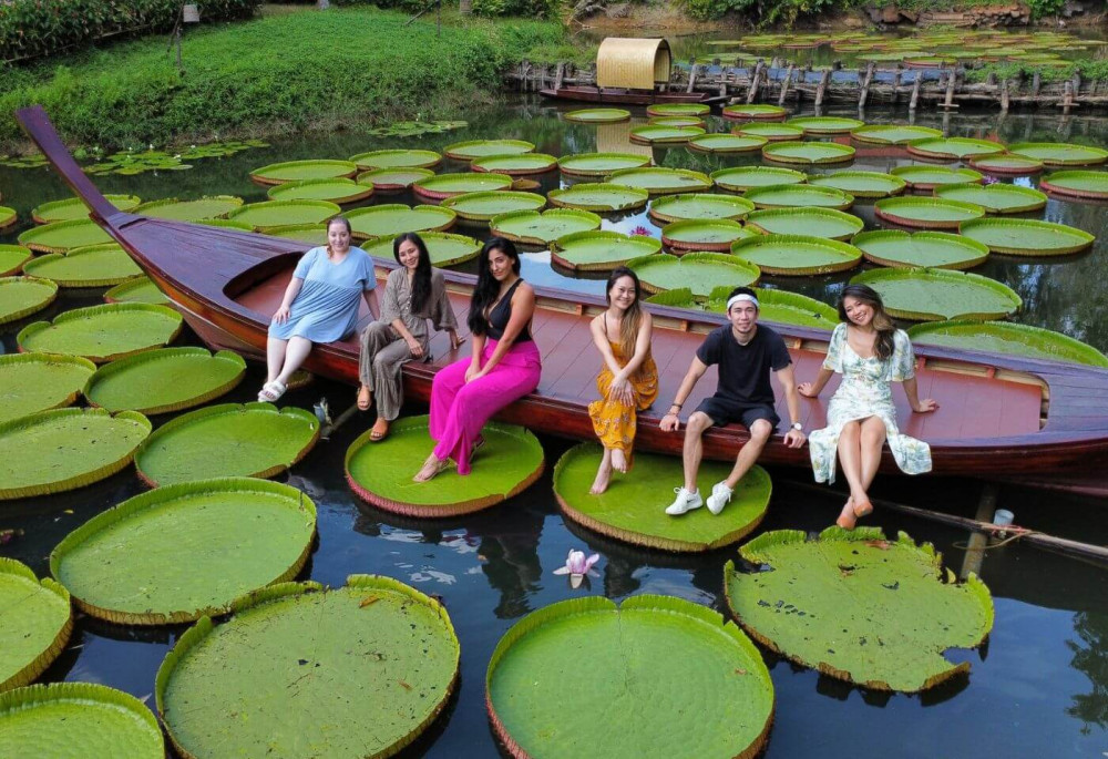 Phuket Giant Water Lilies and Temple Tour