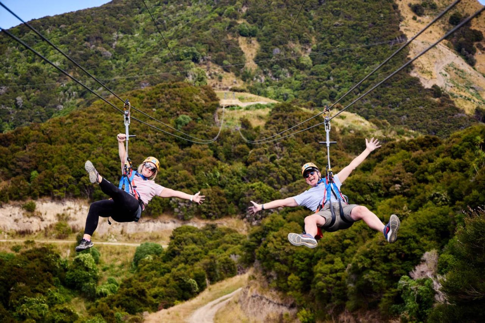 Kaikōura Day Tour From Christchurch With EcoZip Zipline Adventure