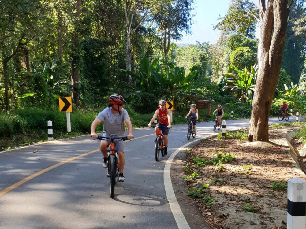 Chiang Mai Countryside Bicycle & Thai Cooking Class Experience