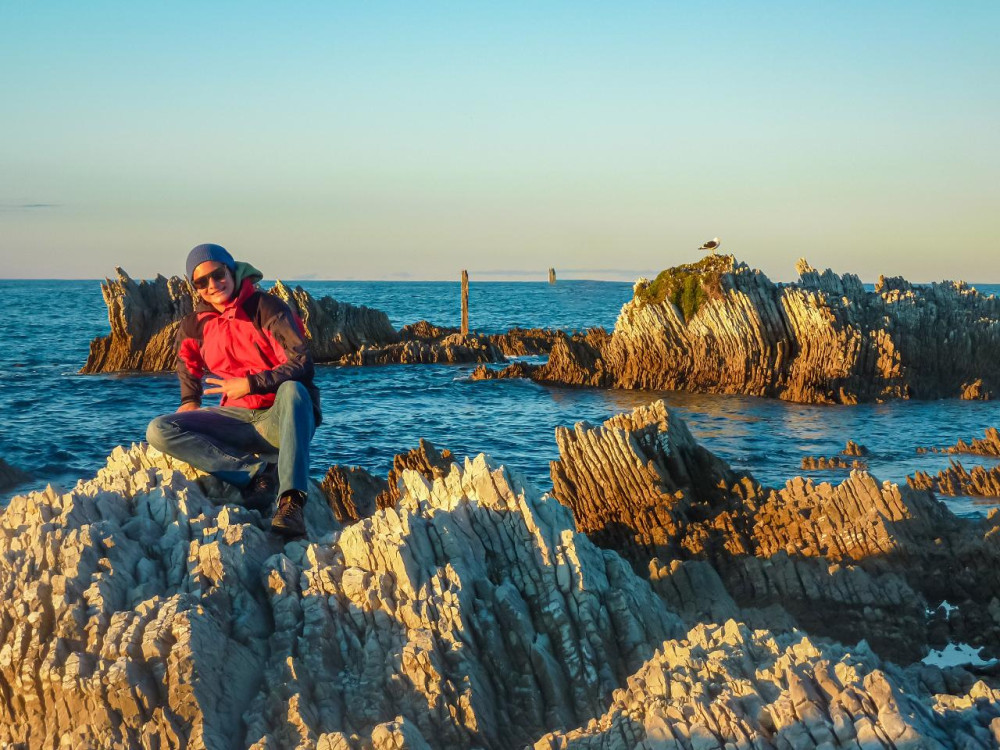 Kaikōura Day Tour From Christchurch with Coastal Pacific Train