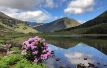 Dingle Darkroom5