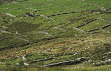 Dingle Darkroom3