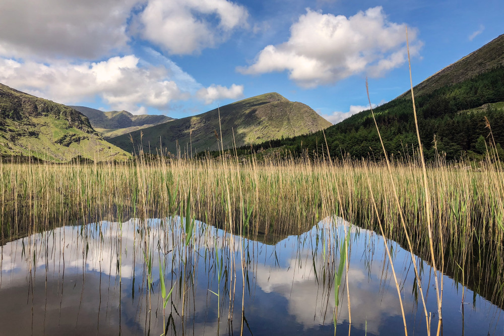 Private Tour of the Iveragh Peninsula