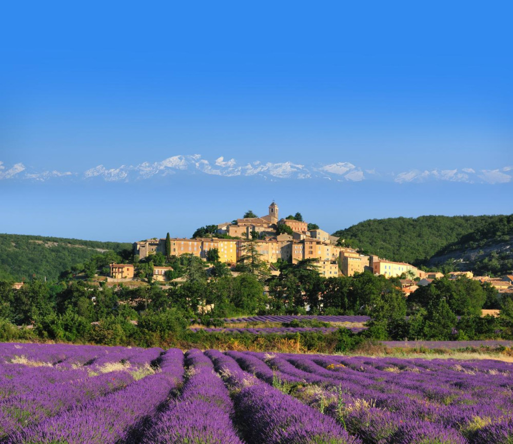 Lavender Fields of Provence: Private Marseille Shore Excursion