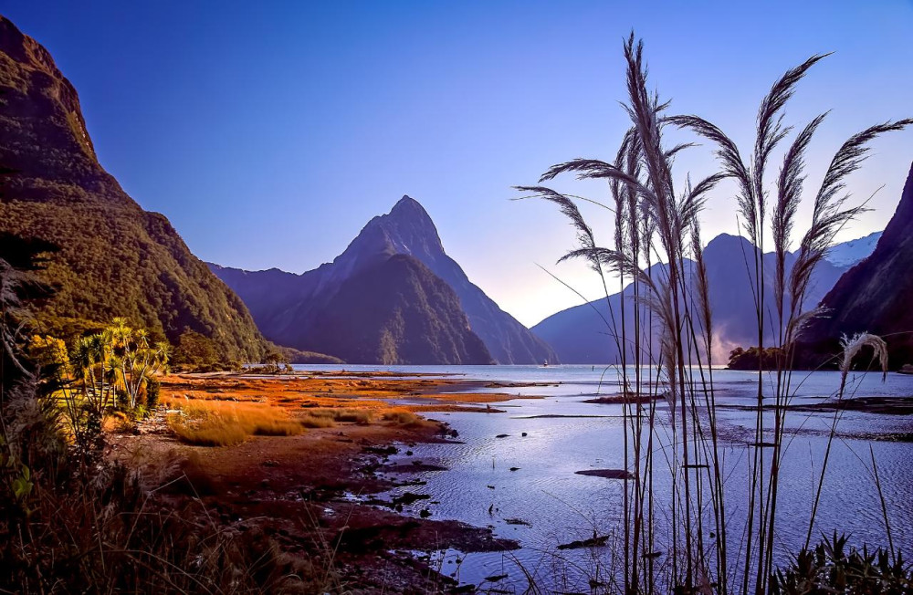 Milford Sound Day Tour from Te Anau