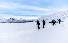 ALSHEMAL Norway3