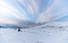 ALSHEMAL Norway4
