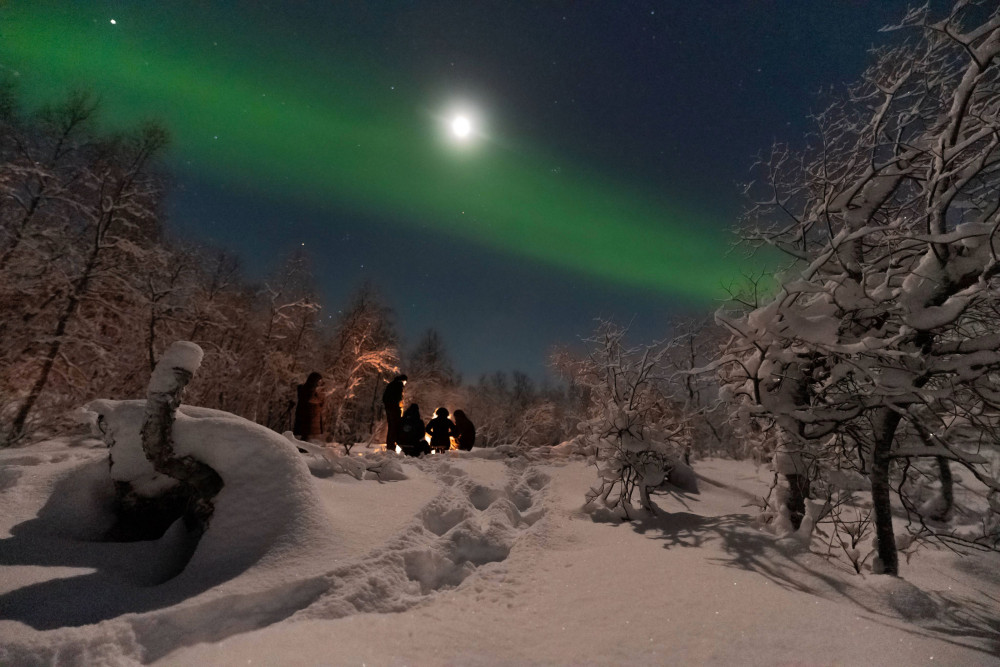 Tromsø Northern Lights Private Guided Tour Van (8 Seats)
