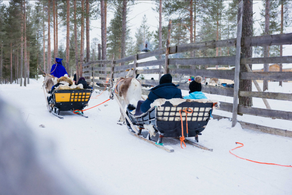 Husky & Reindeer Sled Rides with Farm Visit from Levi