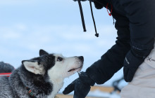 Arctic Circle Snowmobile Park Levi4