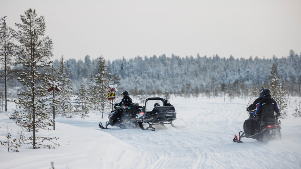 Reindeer Experience with Snowmobiling in Levi