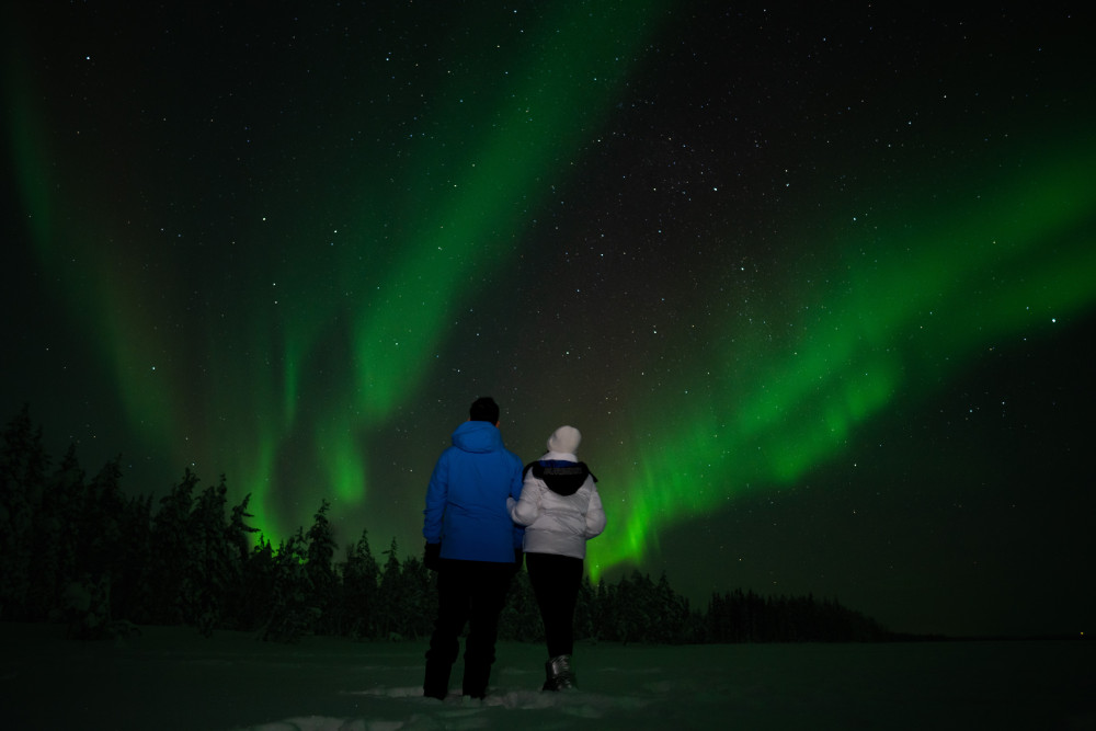 Northern Lights Minivan Chase with Expert Guide in Levi Lapland