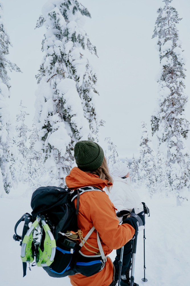 Guided Adult Snowshoeing Tour with Hot Drinks in Levi, Finland