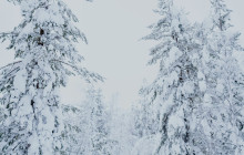 Arctic Circle Snowmobile Park Levi4