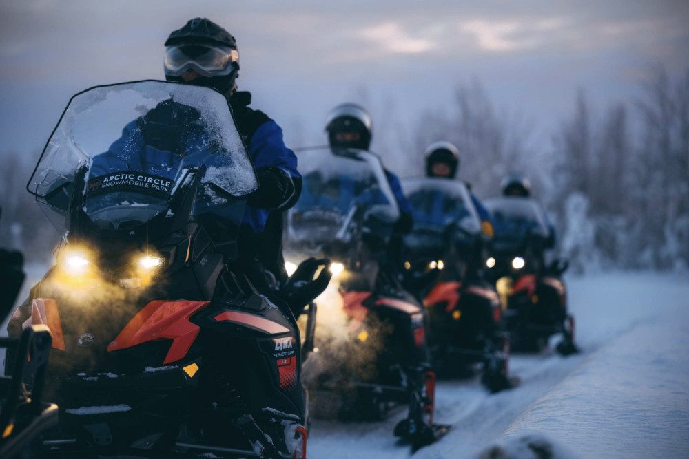Husky and Reindeer Experience with Snowmobiling