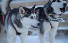 Arctic Circle Snowmobile Park Levi13