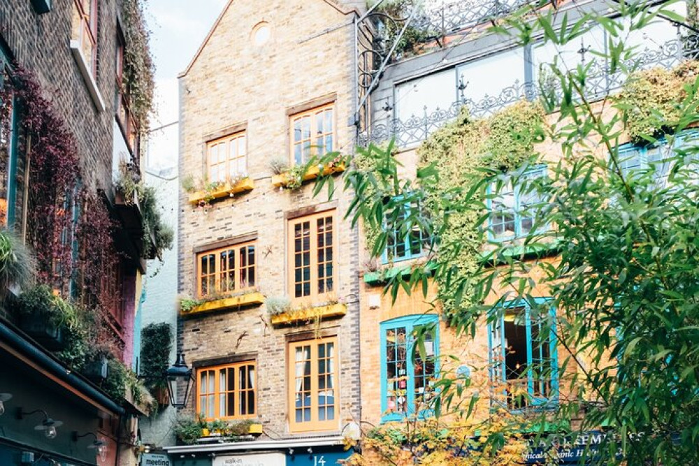 Ultimate Guided Tour of London in French