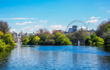 See Your City4