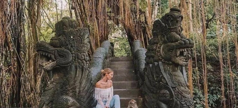 Ubud Monkey - Jungle Swing - Rice Terrace - Temple and Waterfall