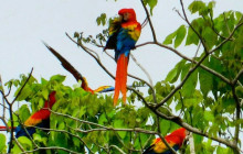 Ocean Ranch Park Eco Adventure Tours2