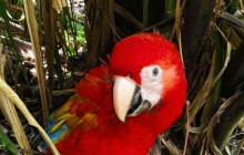 Ocean Ranch Park Eco Adventure Tours9