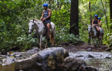 Ocean Ranch Park Eco Adventure Tours4