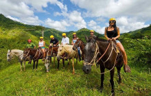Ocean Ranch Park Eco Adventure Tours6