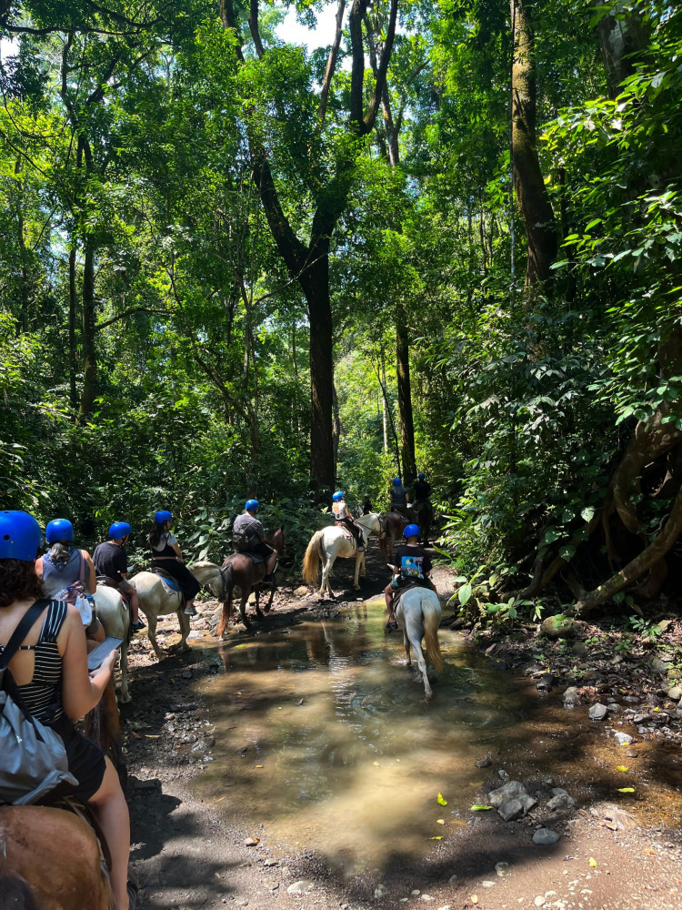 Ocean Ranch Park Eco Adventure Tours